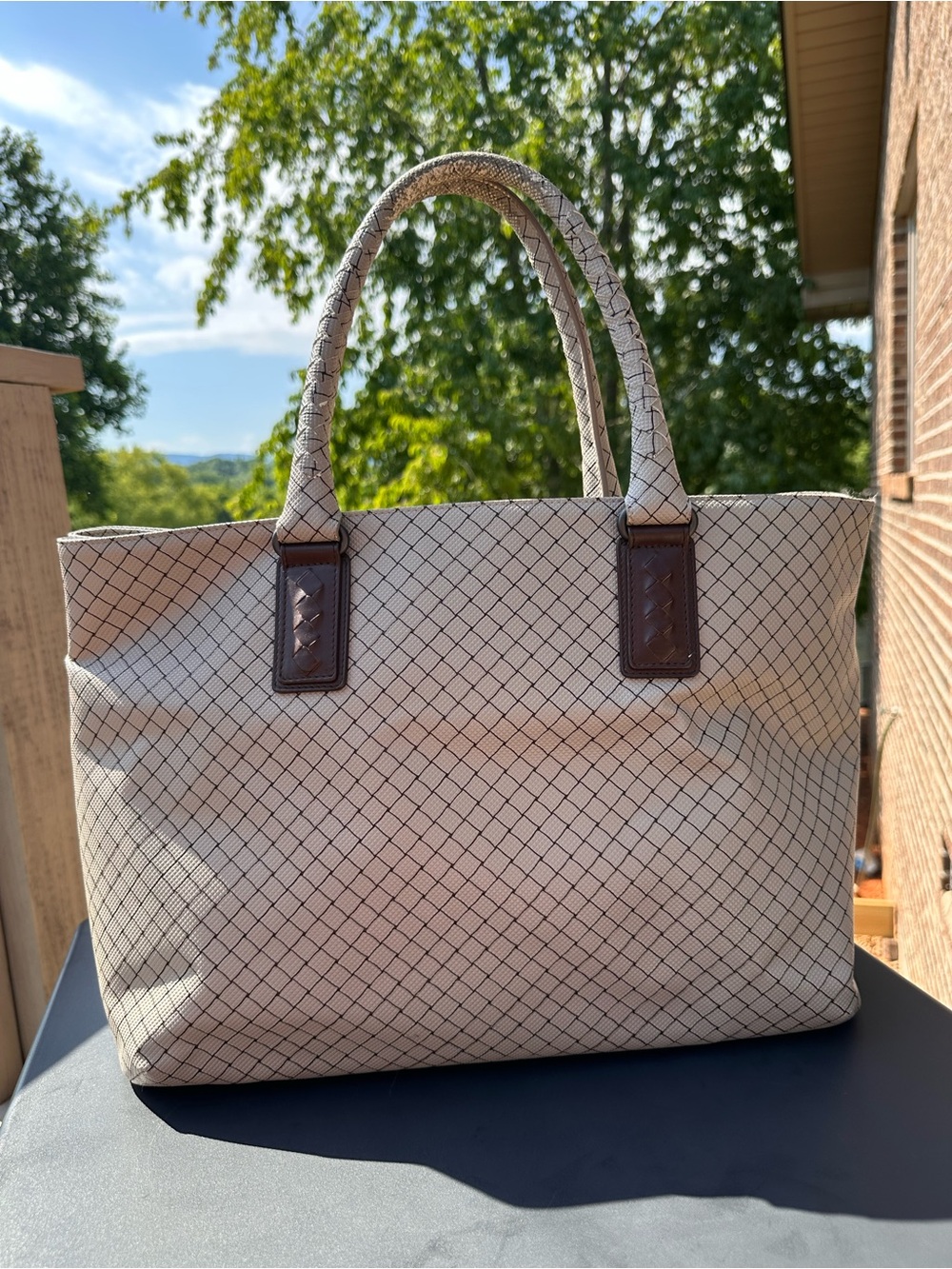Bottega Veneta Marco Polo tote bag